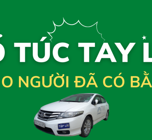Rừng Tràm Trà Sư